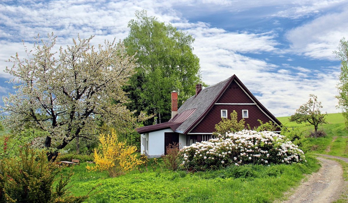 How to Plan a Cottage Garden Border for Small Plots